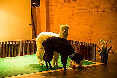 《光圈科技打工记》免费发布 Steam好评如潮